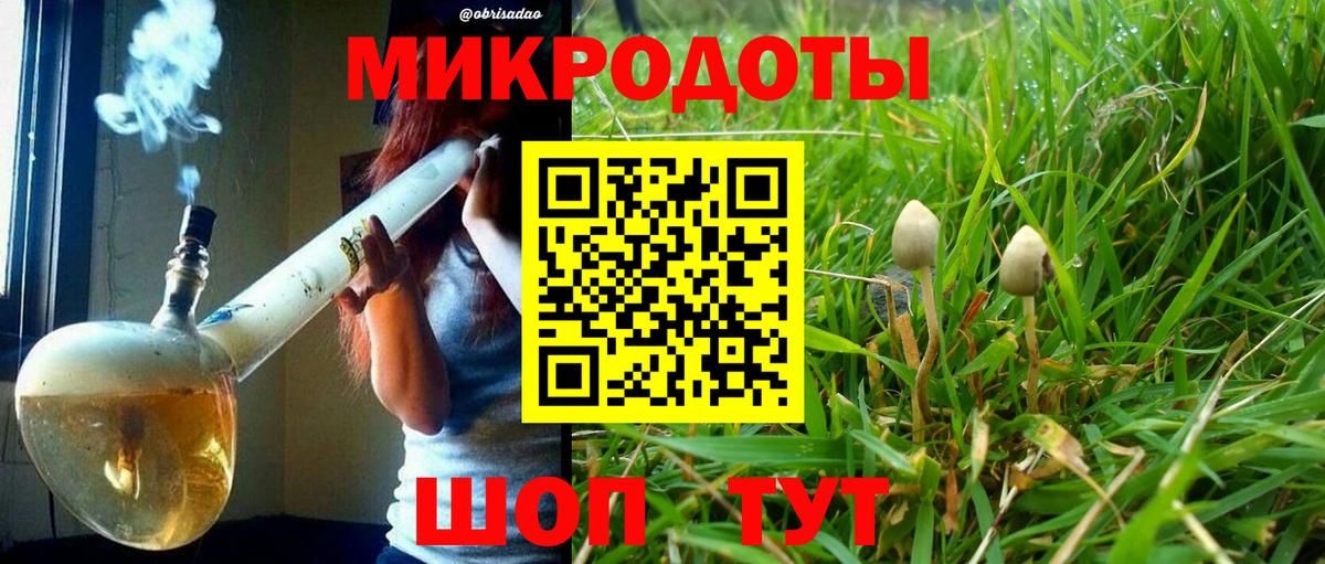 закладки  Псилоцибиновые грибы мухоморы  Вход с VPN  Советская Гавань 